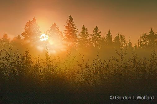 Foggy Sunrise_07955.jpg - Photographed near Carleton Place, Ontario, Canada.